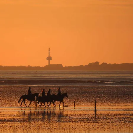 Residenz Am Yachthafen - Mit Panoramablick Cuxhaven