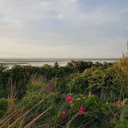 아파트 Residenz Am Yachthafen - Mit Panoramablick *